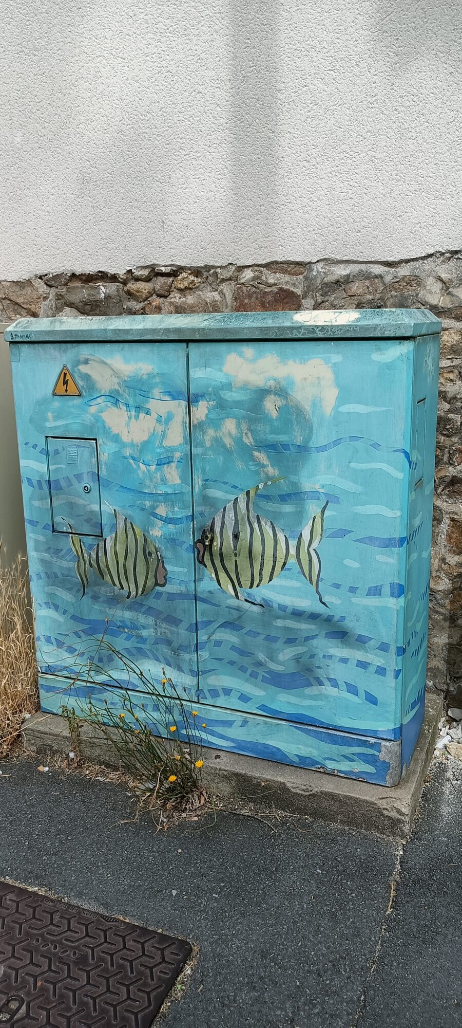 Angelfish on an electrical cabinet — Street art in Le Mans
