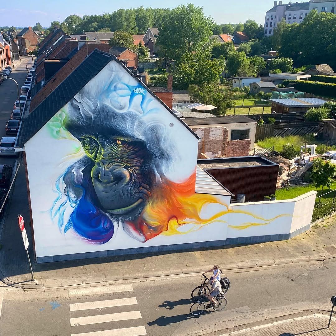 Watch Your Silverback — Street art by SMOK in Dendermonde