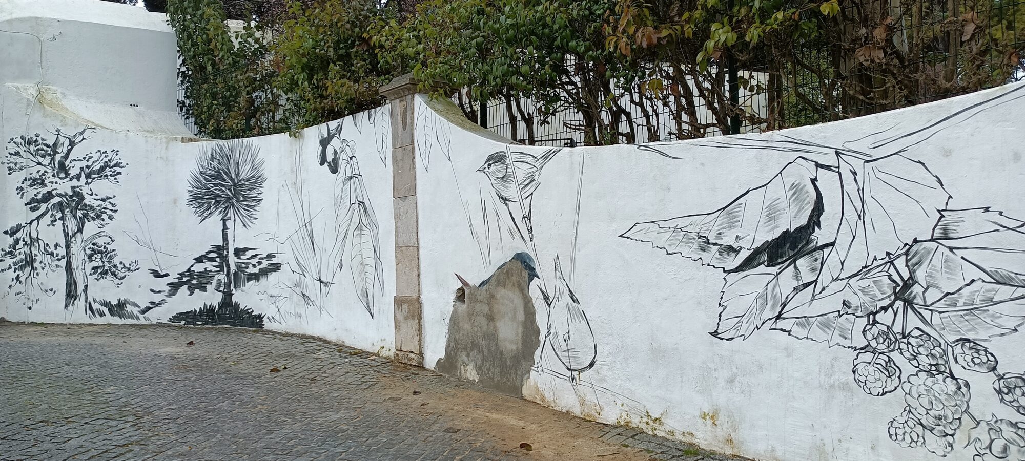 Charcoal Herbarium Wall — Street art by Tamara Alves in Almada