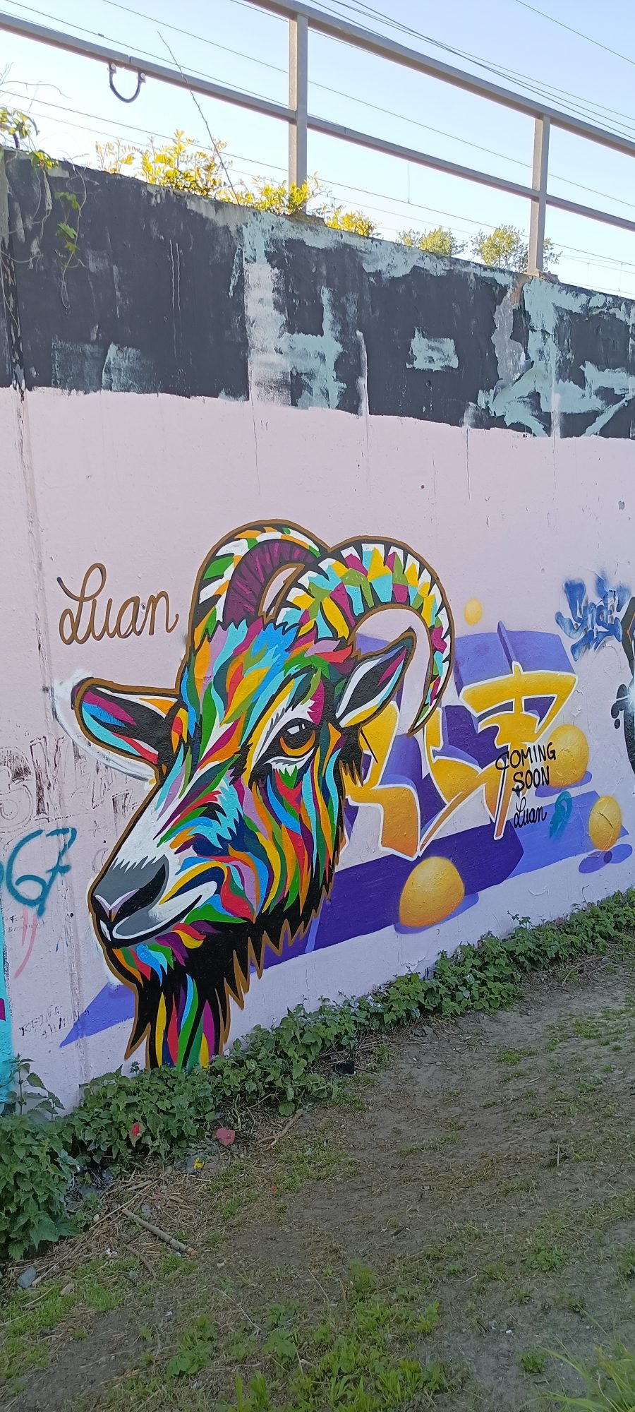 Multicoloured Ibex by Luan — Street art in Berlin