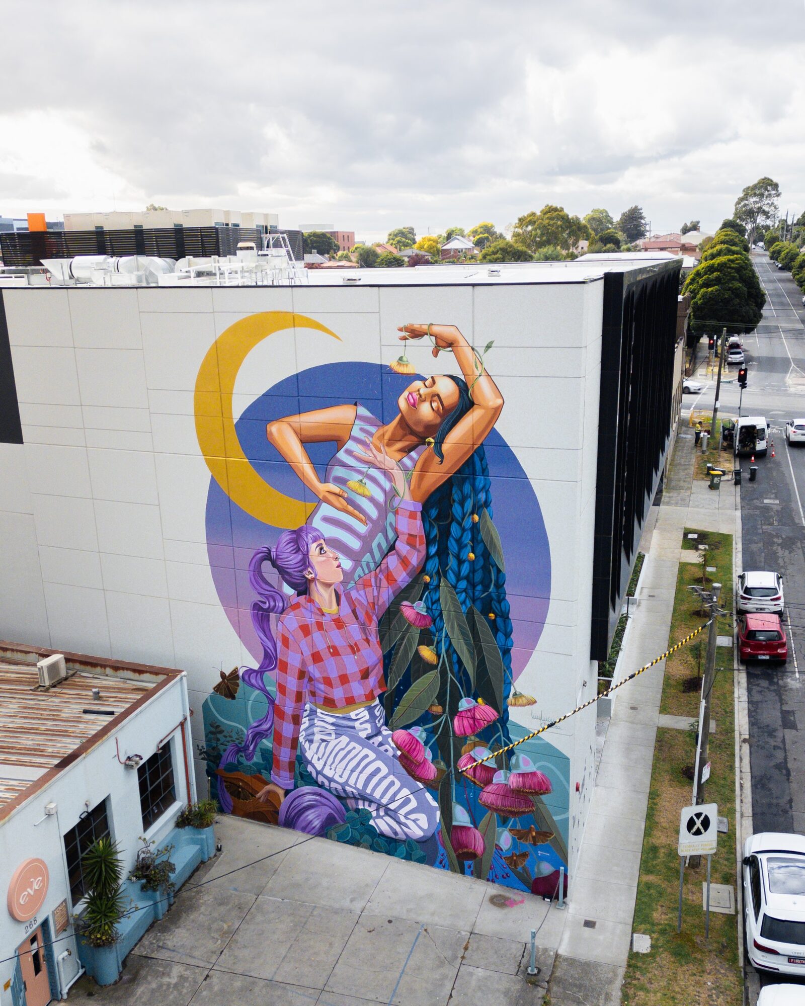 Deux femmes et fleurs d'eucalyptus — Street art de Lucy Lucy à Melbourne