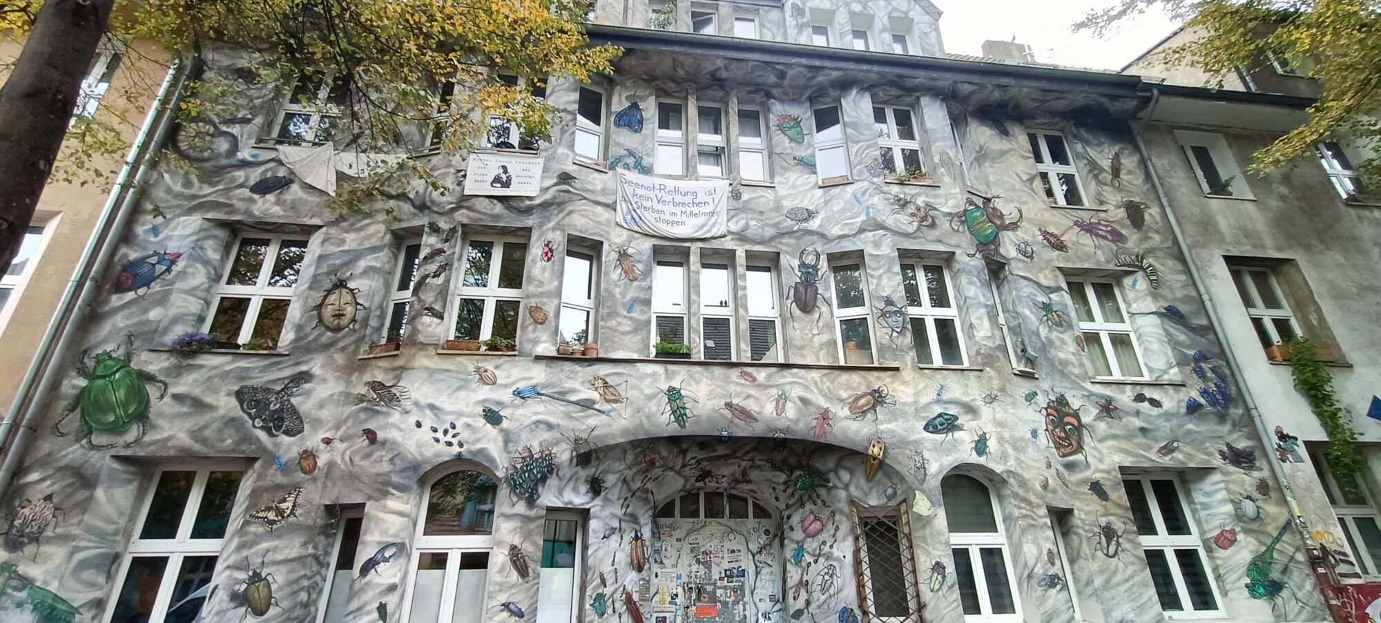 Käferhaus, la maison aux insectes — Street art de Christian Bolte, Till Martin Köster à Düsseldorf