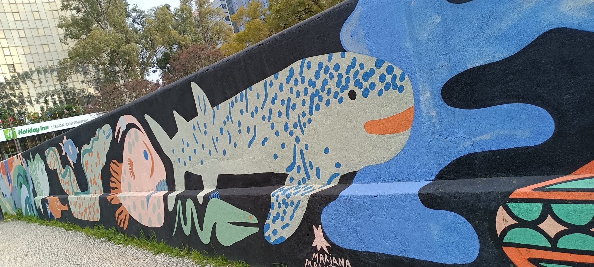 Requin-baleine en aplats — Street art de Mariana Rio à Lisboa