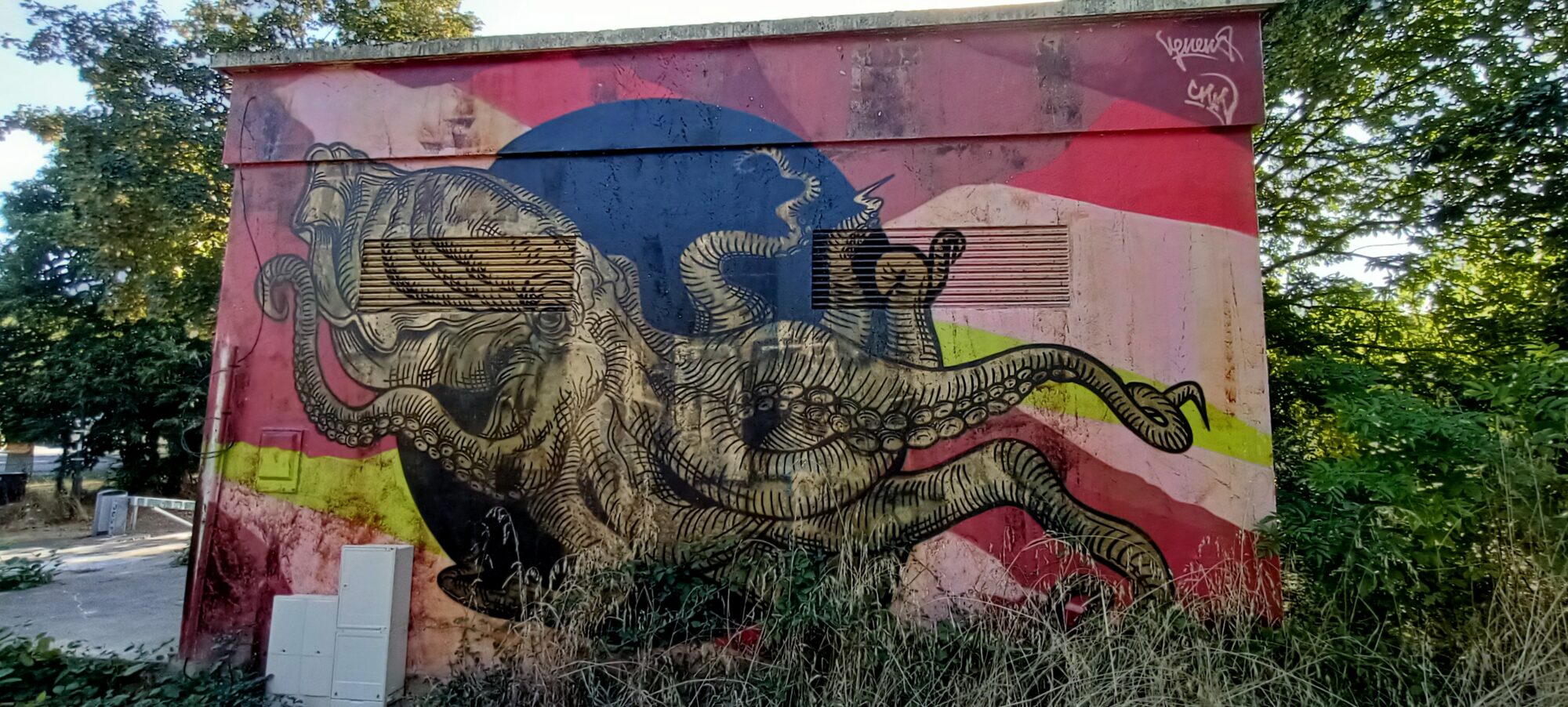 Pieuvre à l'encre sur mur rose — Street art de Miss Veneno à Nantes