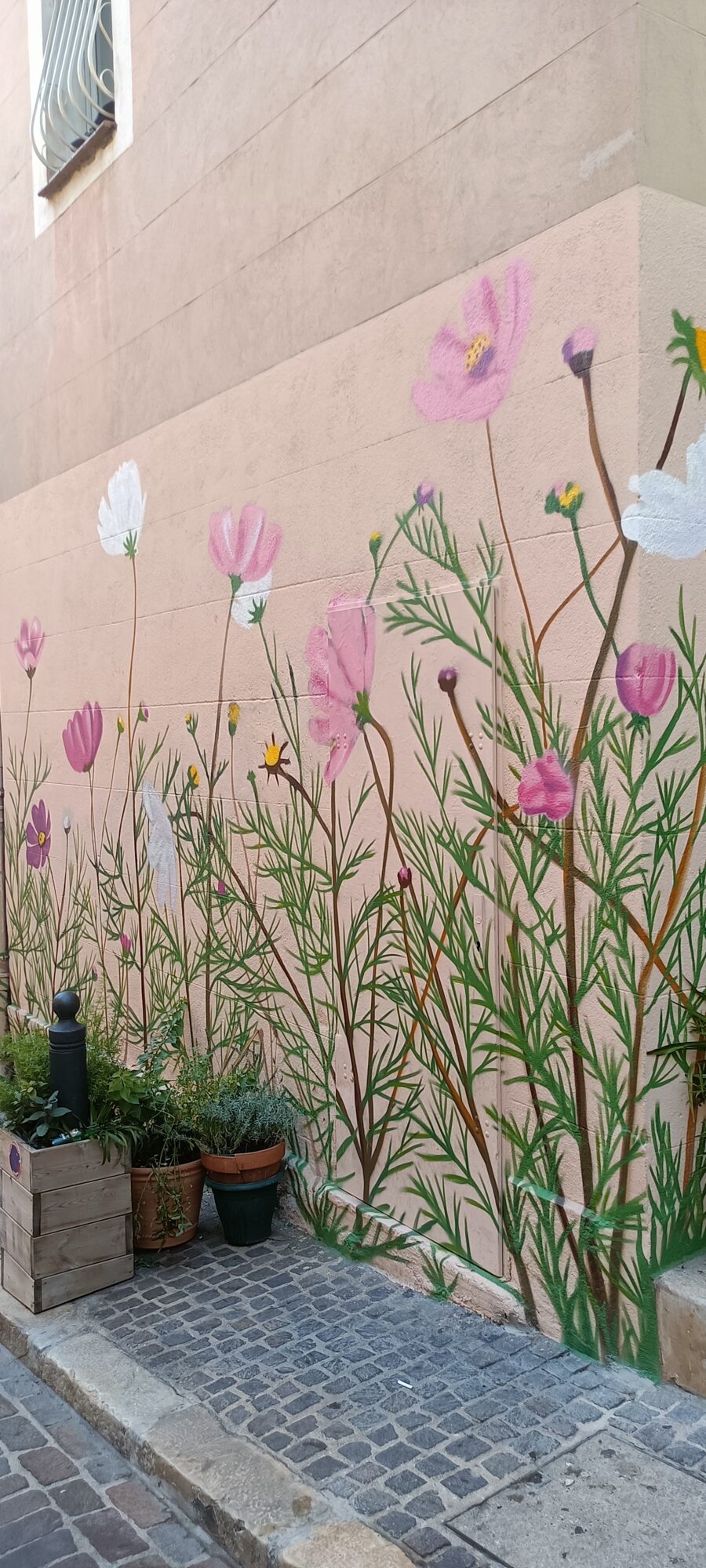 Bed of Cosmos on a Pink Wall — Street art in Marseille