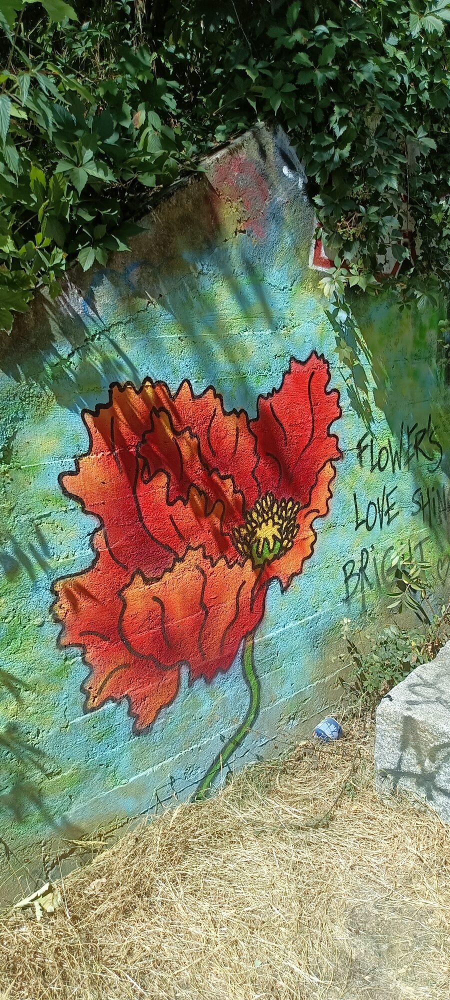 Coquelicot rouge sur mur turquoise — Street art à Le Mans