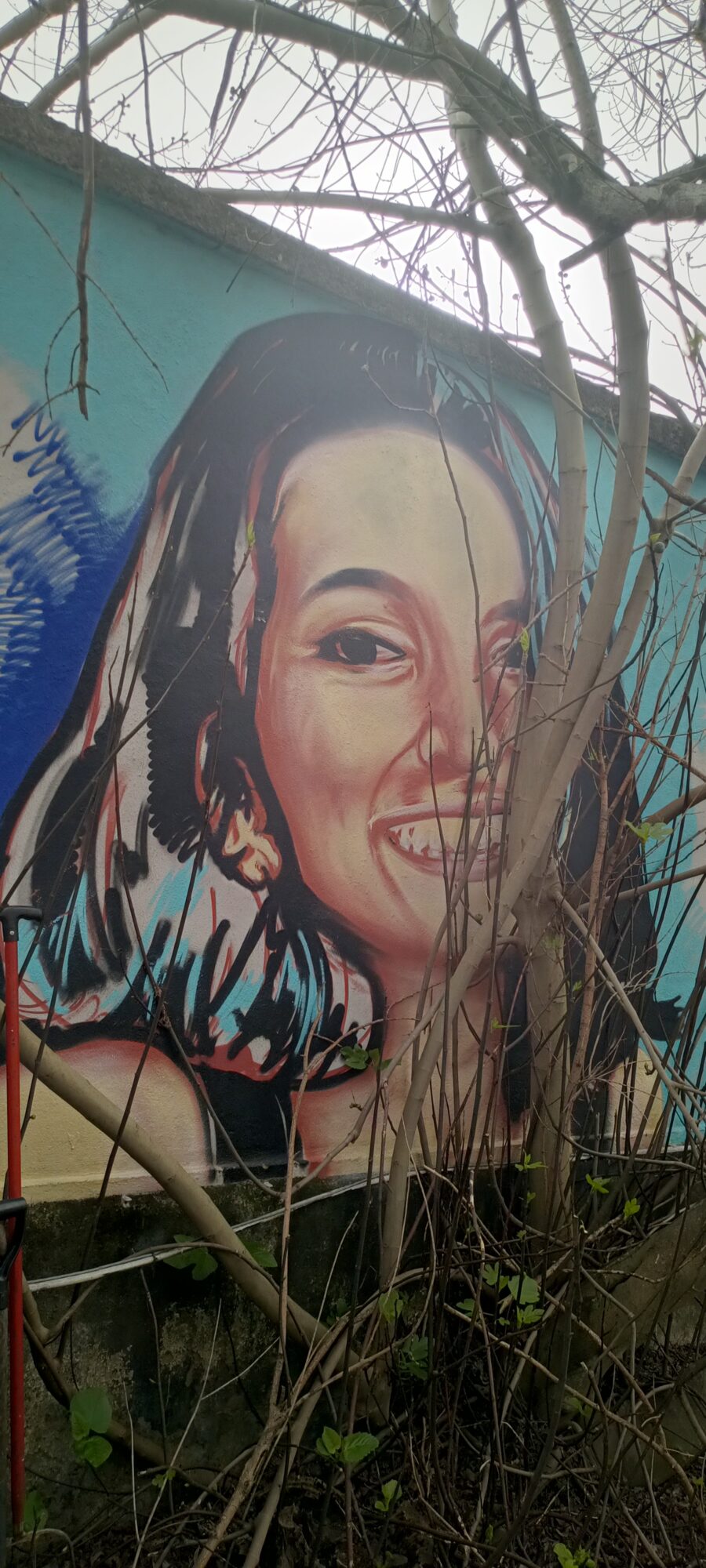 Smiling Portrait Behind the Branches — Street art in Lisboa