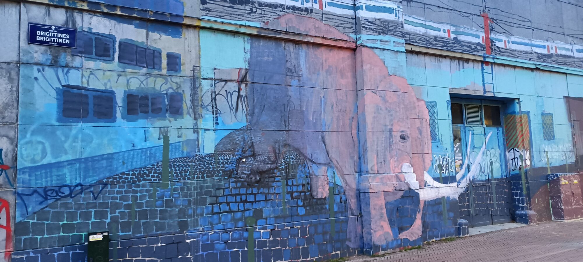 L'éléphant de la rue des Brigittines — Street art à Bruxelles