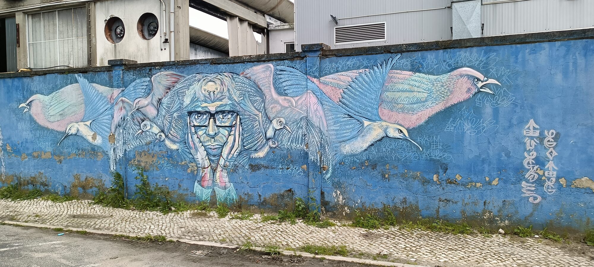 Bespectacled man and a flight of pink birds — Street art in Lisboa