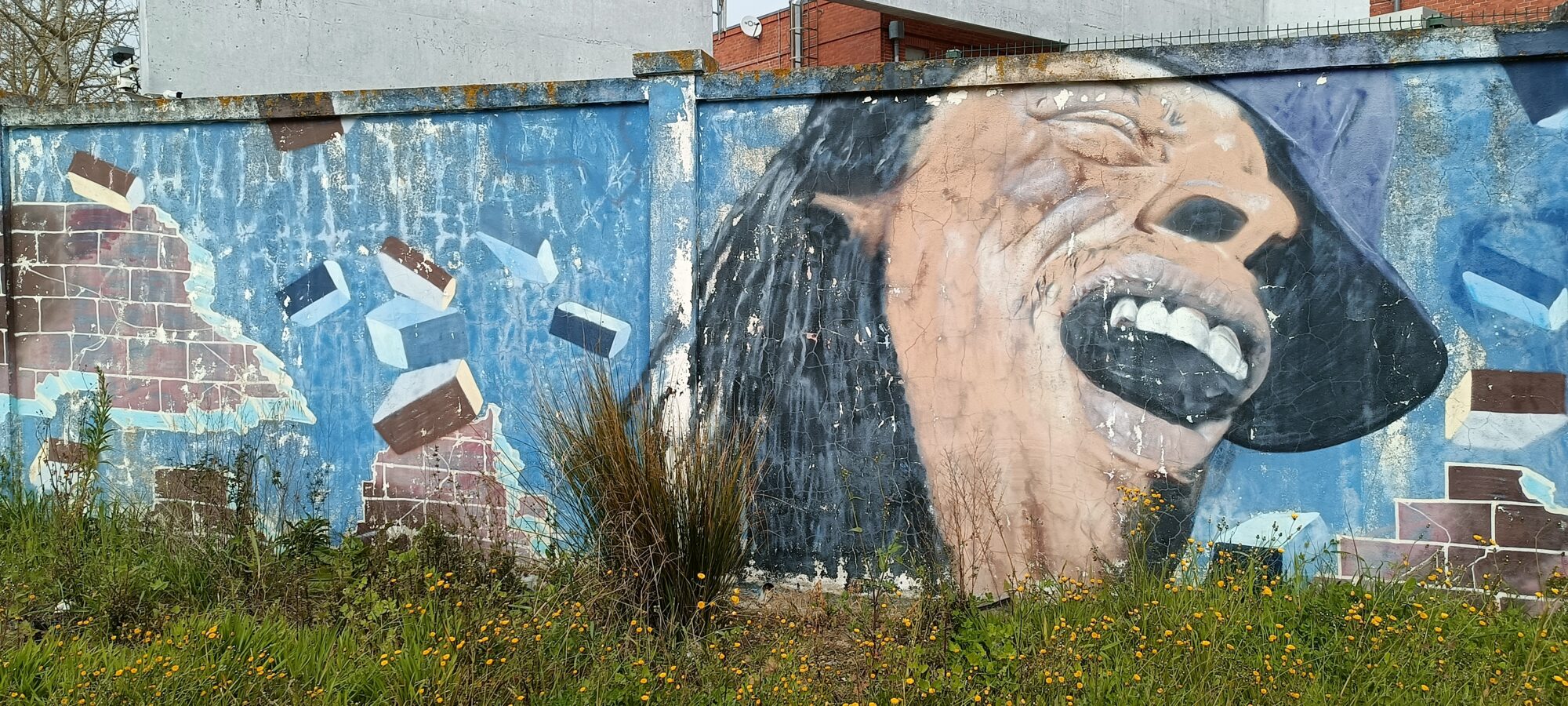 Éclat de rire sous un chapeau — Street art à Lisboa