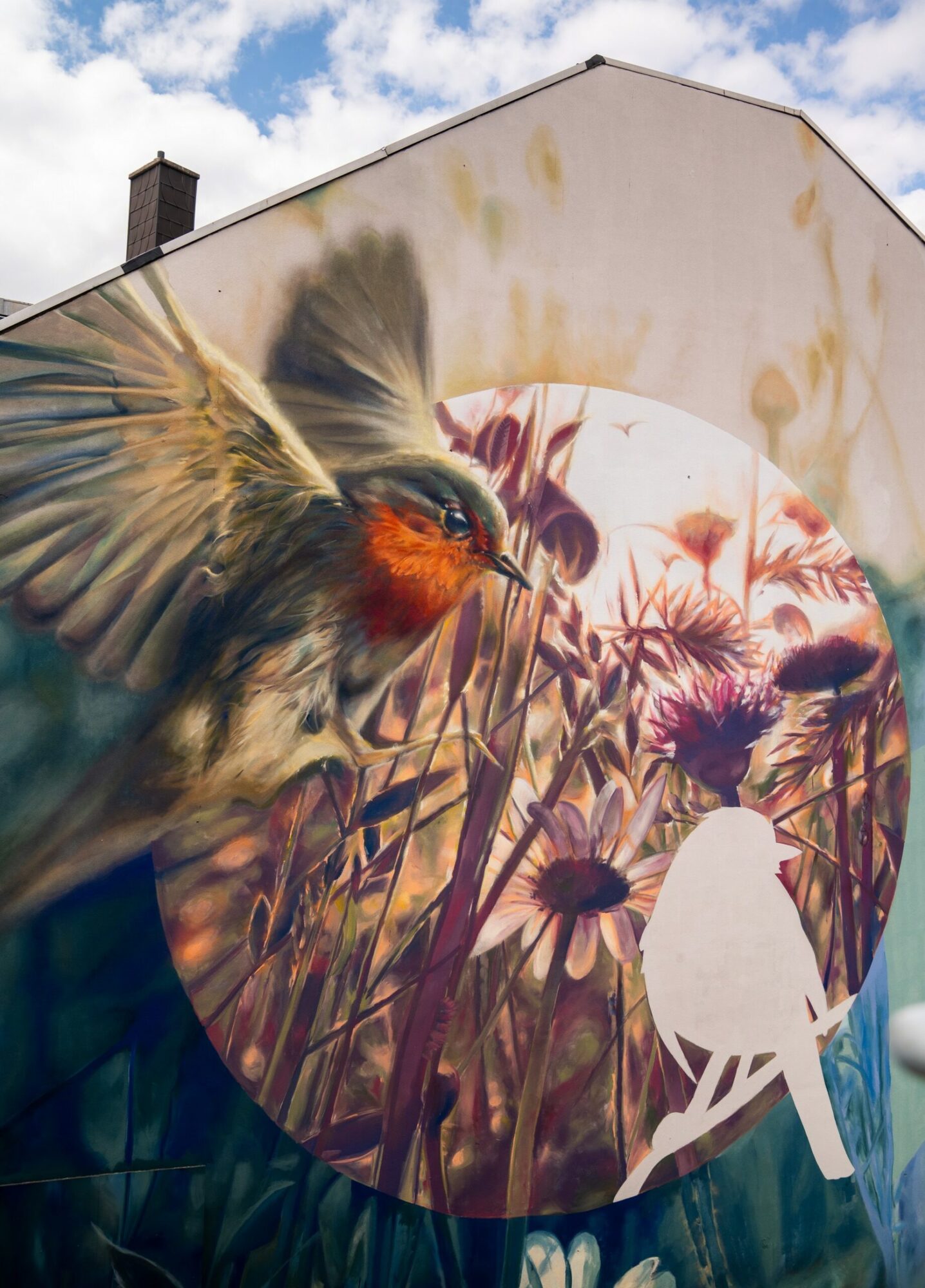 Focusing, the Robin of Maxstrasse — Street art by Jack Lack in Bonn