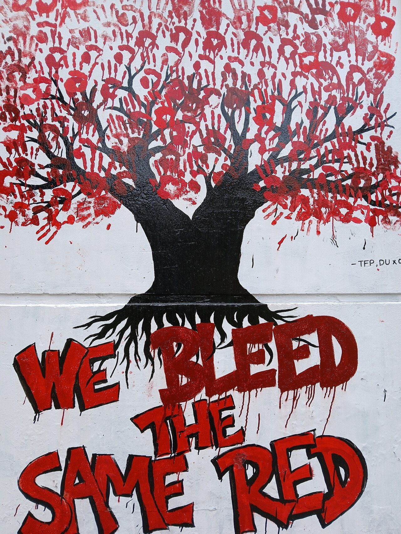We Bleed the Same Red — Street art in Dhaka