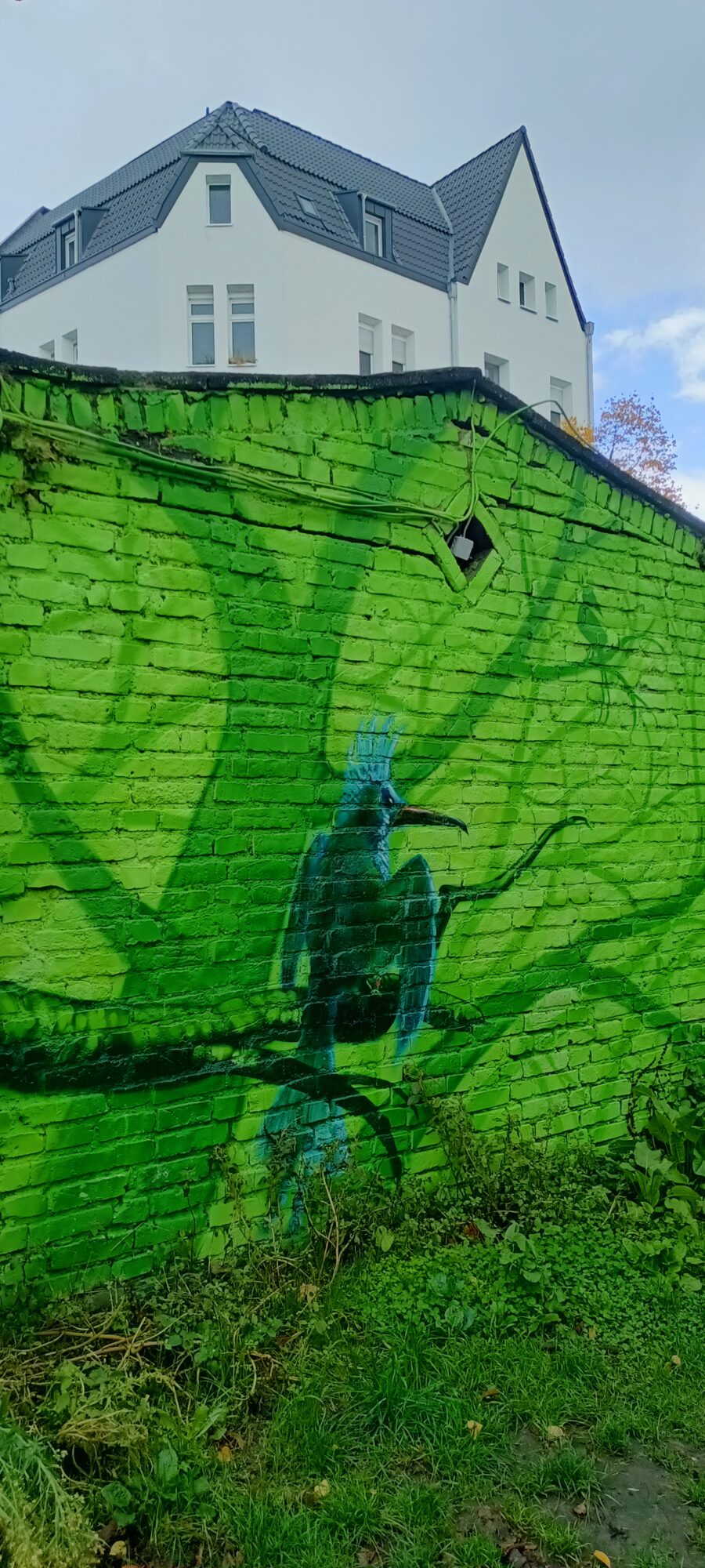 Kingfisher on a green wall — Street art by Colorrevolution e.V. in Köln