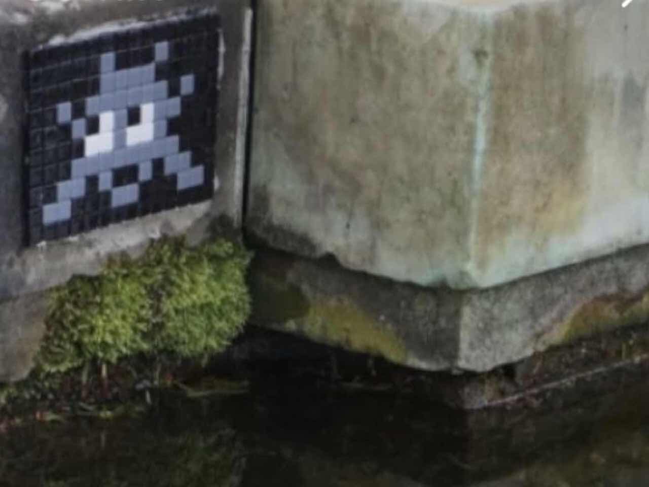 VRS_24, Space Invader de Parterre Latone — Street art de Invader à Versailles