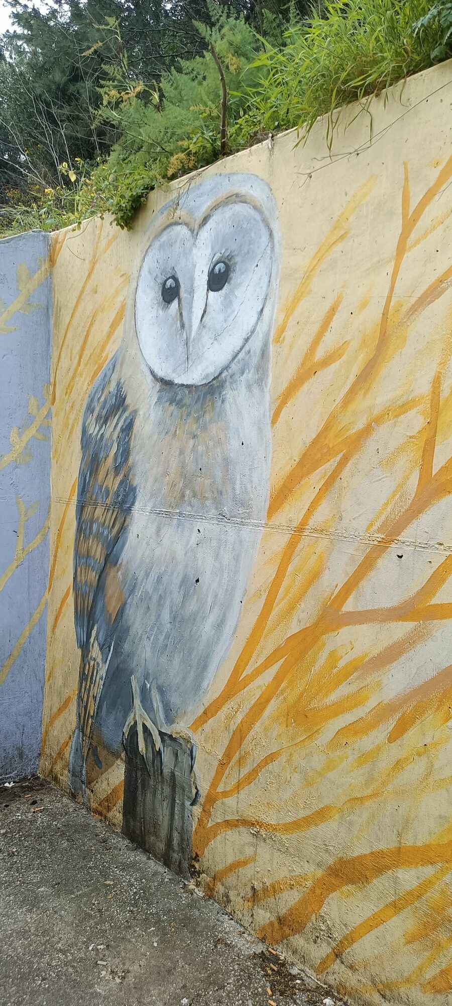 Chouette effraie dans les blés — Street art à Almada