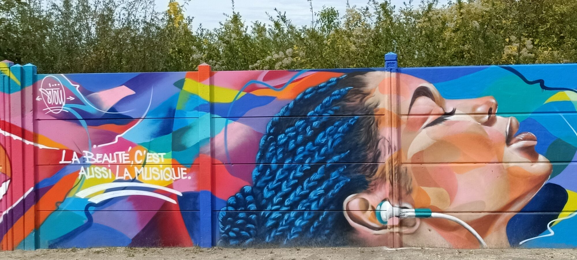 La beauté, c'est aussi la musique — Street art à Reims
