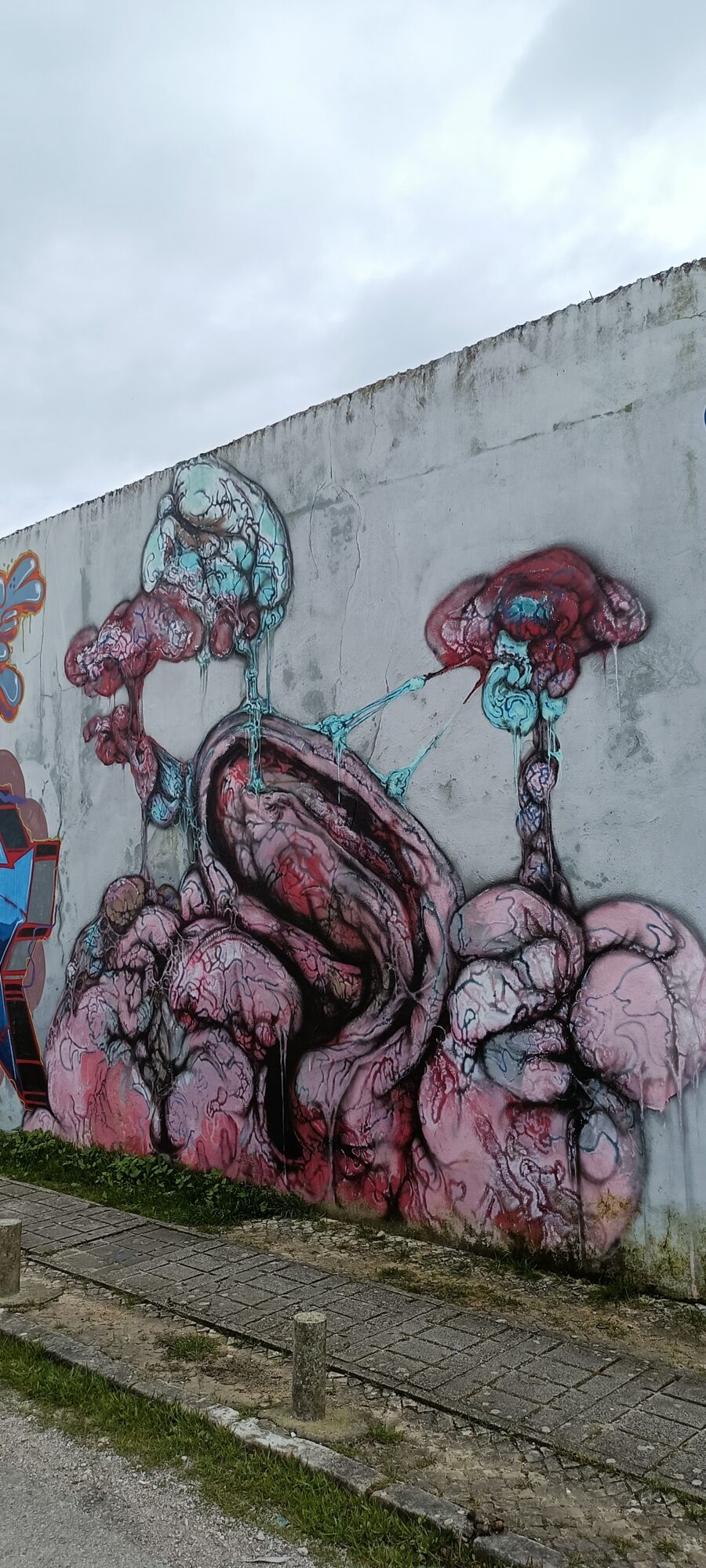Pink and Turquoise Organic Growths — Street art in Almada
