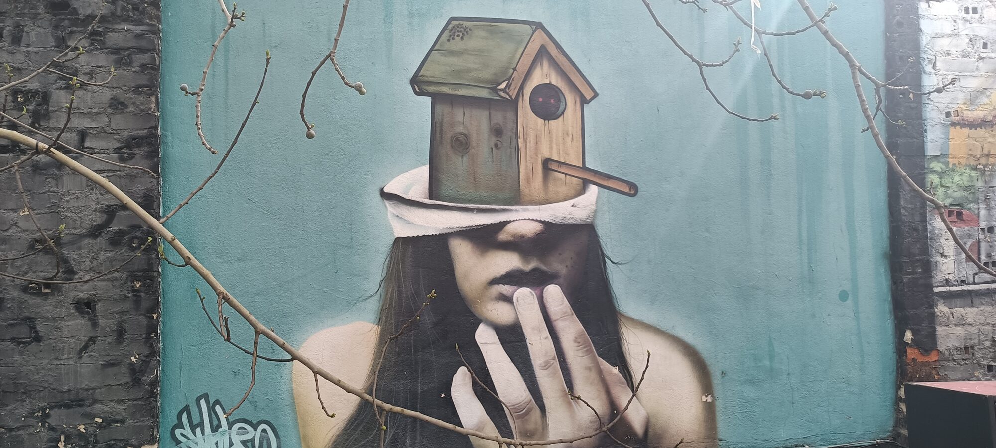 Femme au nichoir sur la tête — Street art à Lisboa