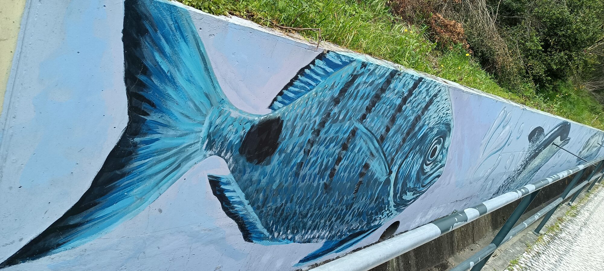 Blue Fish on the Retaining Wall — Street art in Almada