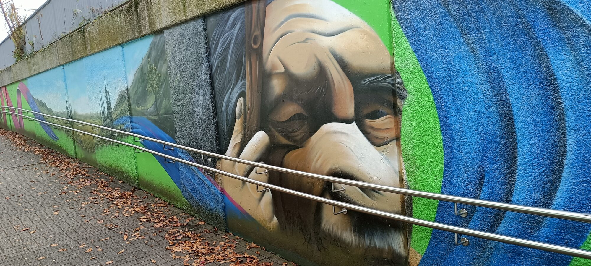 Portrait of Neanderthal man — Street art by NEANDERARTgroup in Erkrath