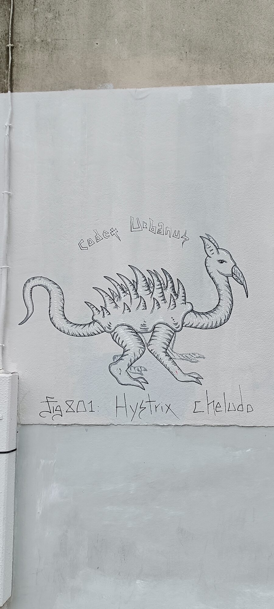 Hystrix Cheludo from the Codex Urbanus — Street art by Codex Urbanus in Paris