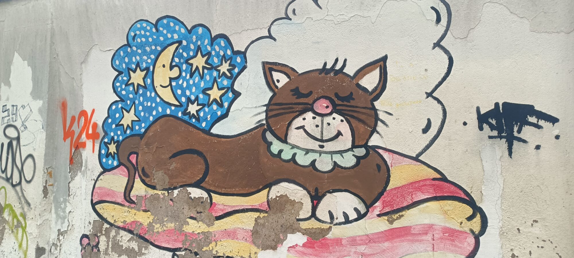 Cat asleep on its cushion — Street art in Düsseldorf