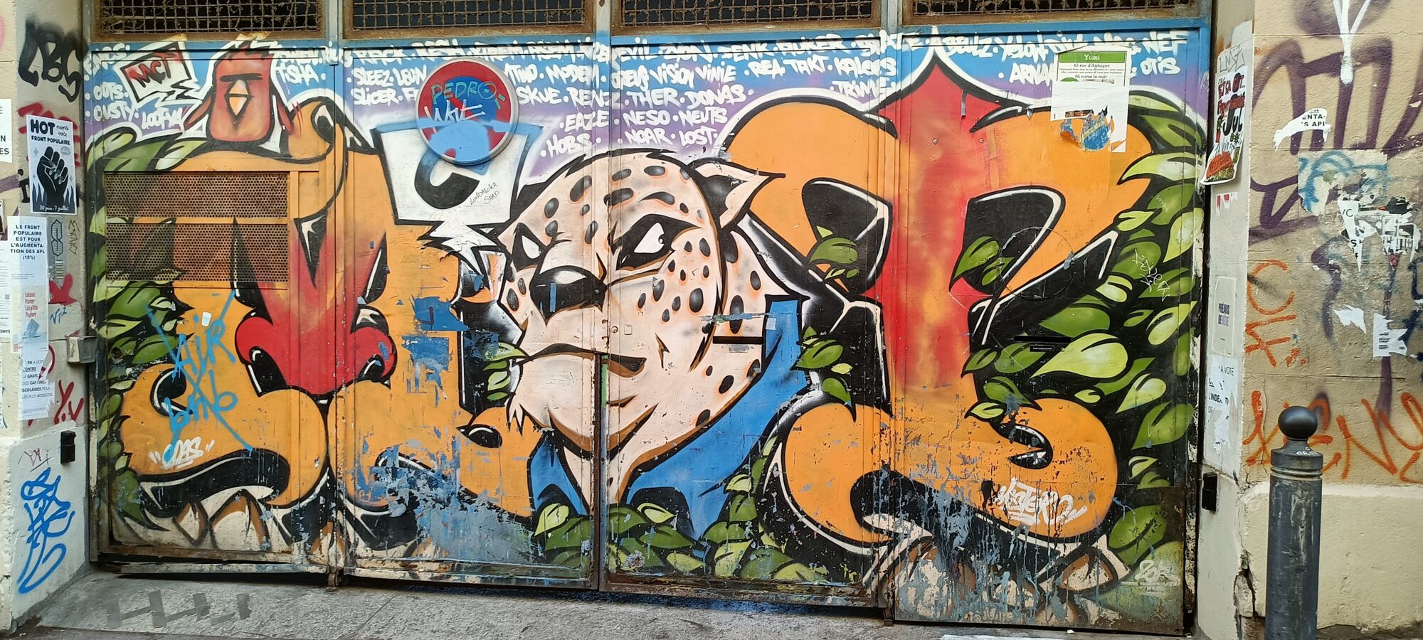 Tête de léopard et lettrage orange — Street art à Marseille
