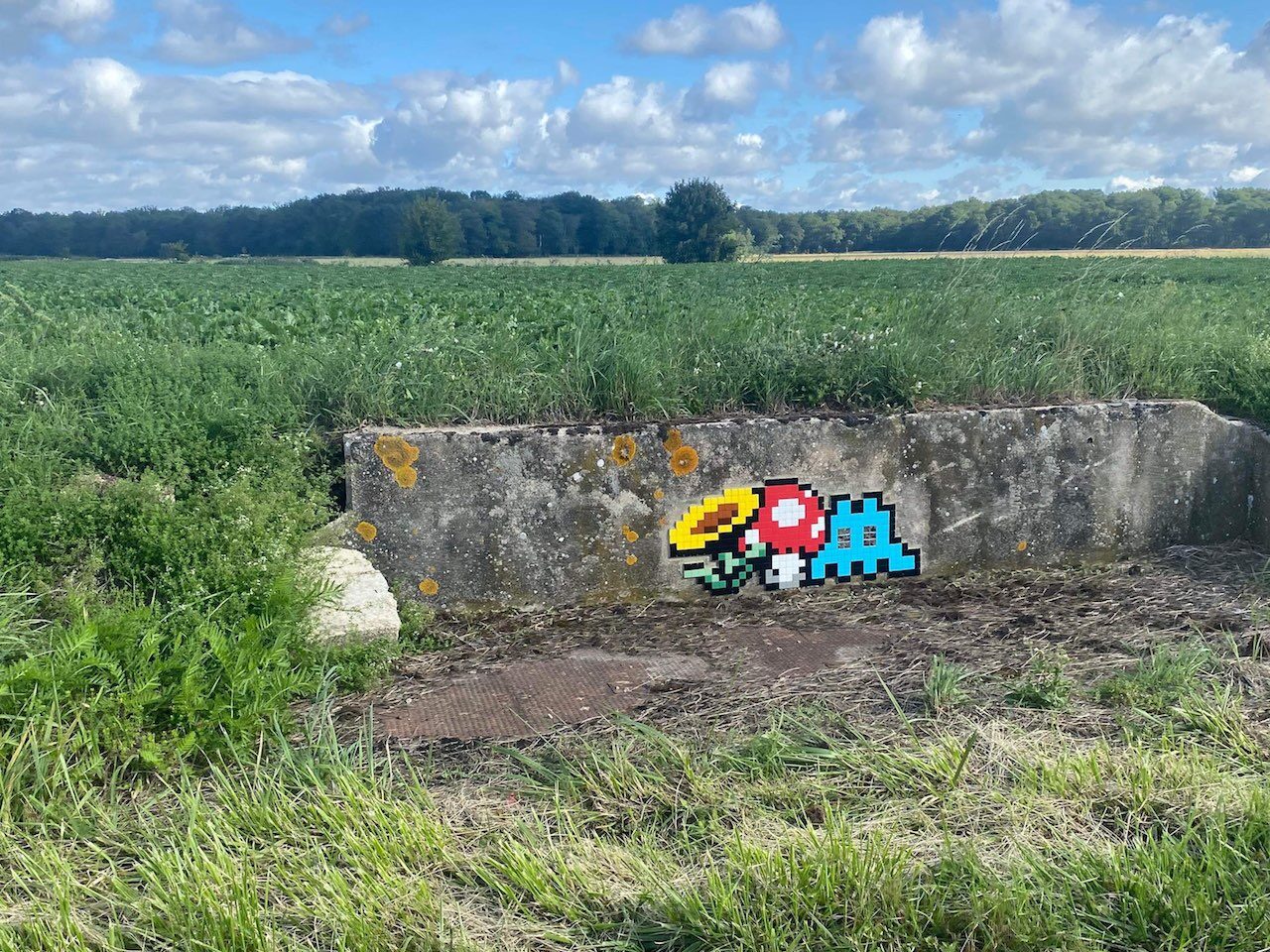 FTBL_23, Space Invader on 7 Route de la Glandée — Street art by Invader in Chailly-en-Bière