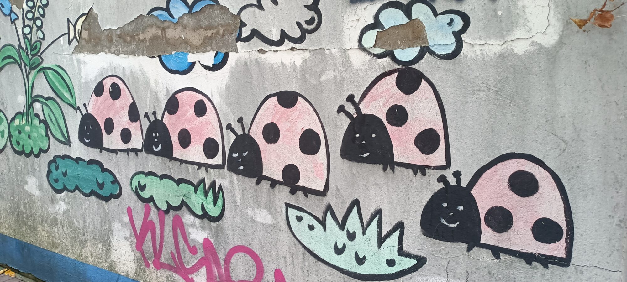 The line of pink ladybirds — Street art in Düsseldorf