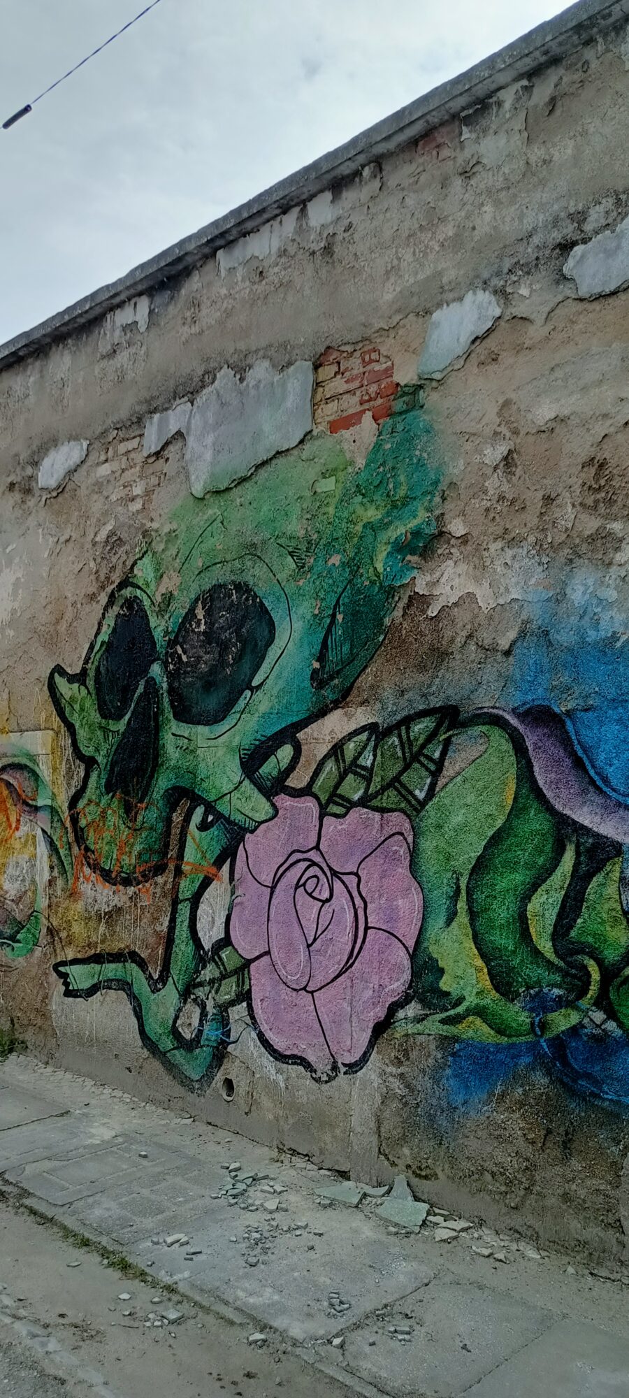 Green Skull and Mauve Rose — Street art in Almada