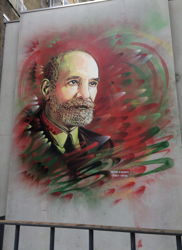 René Cassin (1887-1976) — Street art by C215 in Bayonne