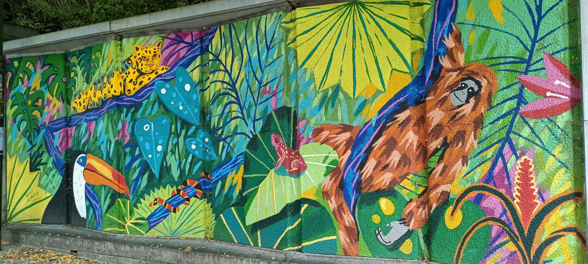 Jungle au jaguar et au toucan — Street art de Rocío Álvarez à Ixelles