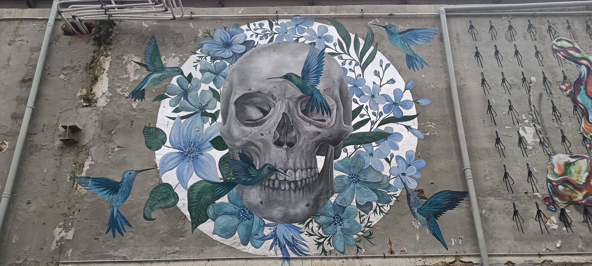 Caveira XXVII — Street art de Jacqueline de Montaigne à Lisboa