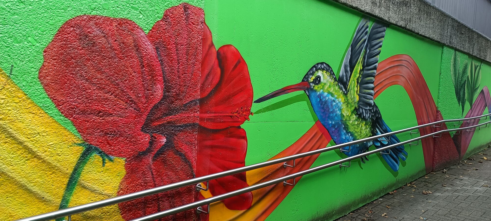 Colibri et hibiscus rouge — Street art de NEANDERARTgroup à Erkrath