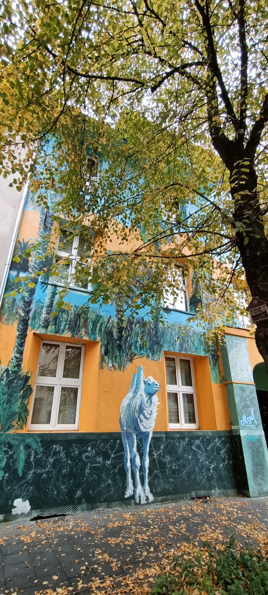 Blue camel foal at the end of the facade — Street art in Düsseldorf