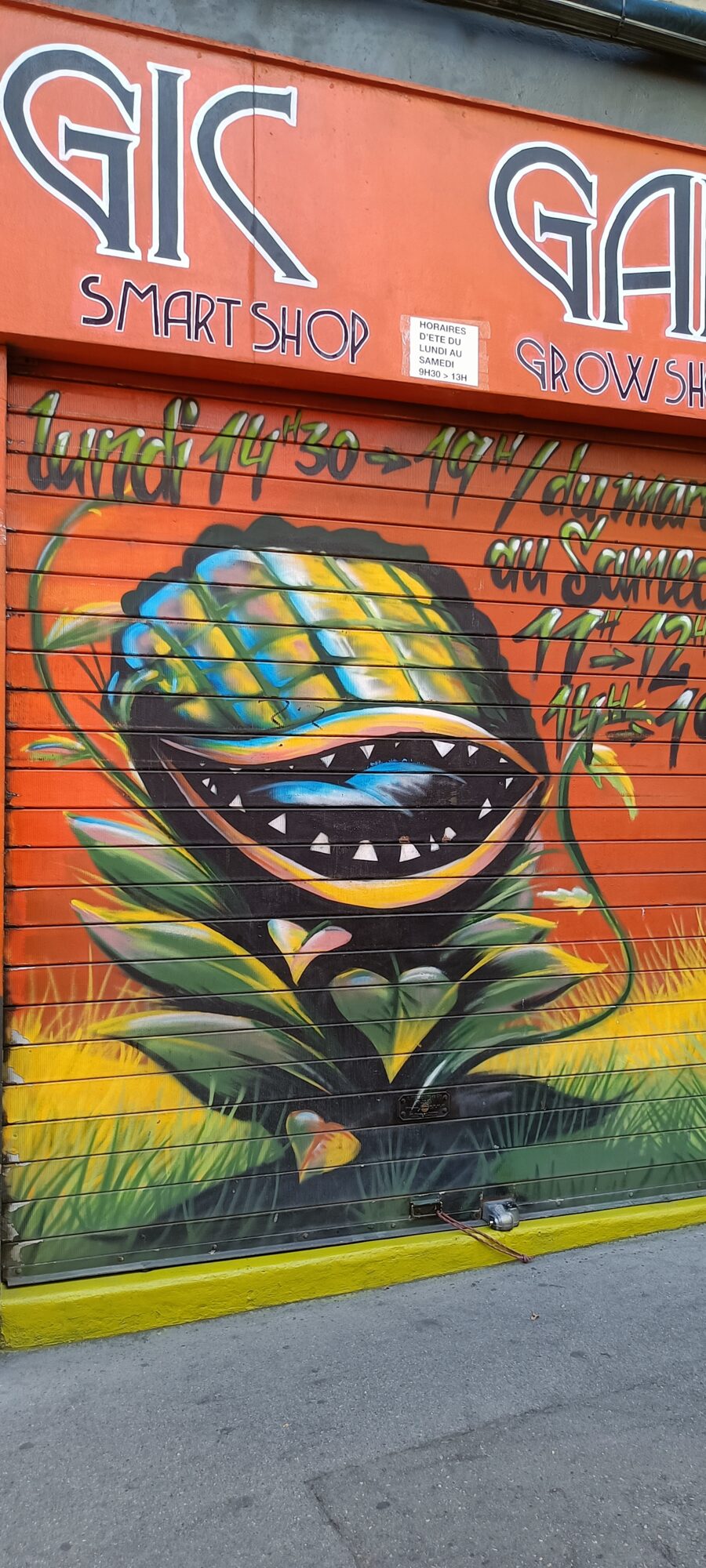 Plante carnivore du grow shop — Street art à Marseille