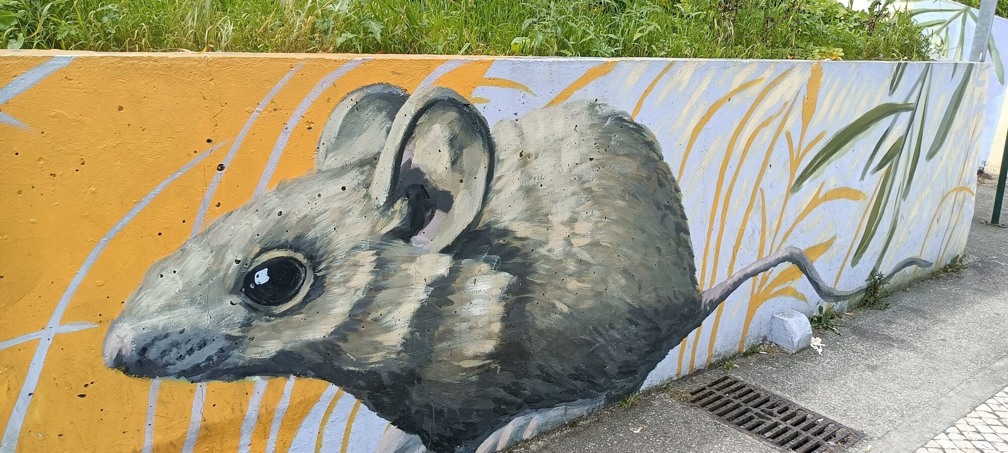 Grey Mouse in the Grass — Street art in Almada