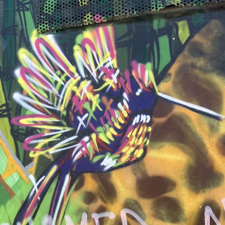 Hummingbird with neon feathers — Street art in Saint-Nazaire