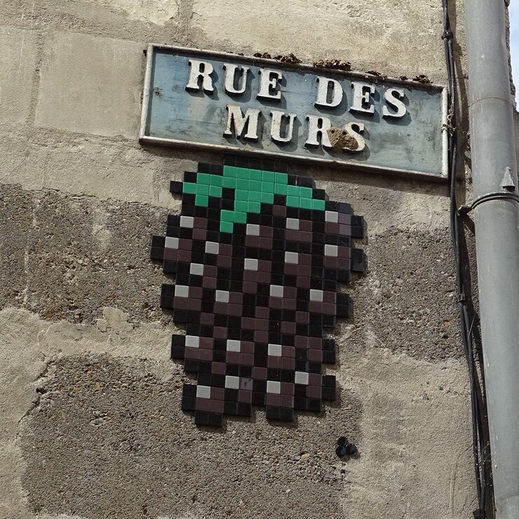 Mûre de la rue des Murs — Street art de Mifamosa à Libourne