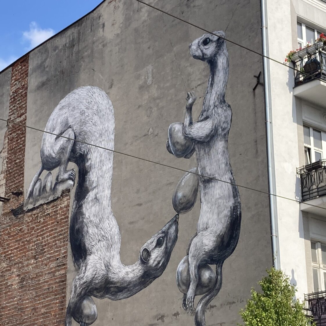 Fretki, les furets de Roa — Street art de Roa à Łódź