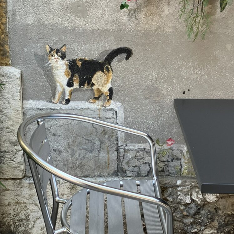 Chat tricolore sur un ressaut de pierre — Street art à Neuchâtel