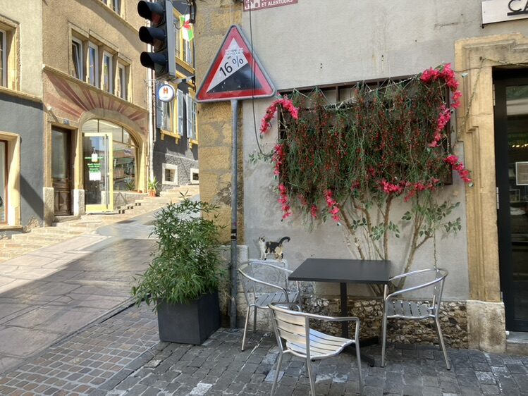 Chat tricolore sur un ressaut de pierre — Street art à Neuchâtel