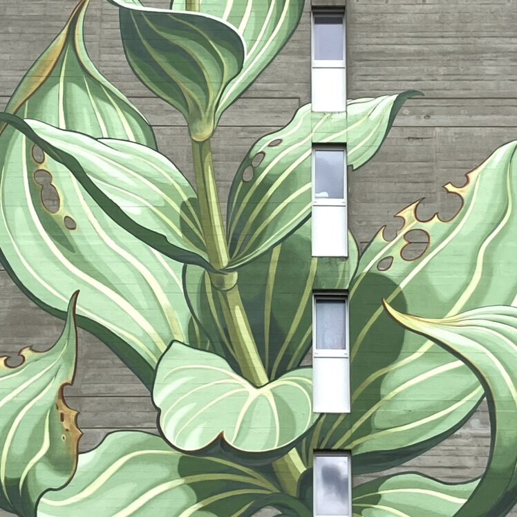 La Grande Gentiane — Street art de Mona Caron à Le Locle