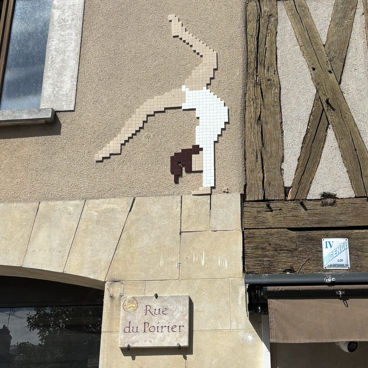 Le poirier de la rue du Poirier — Street art de Mifamosa à Orléans