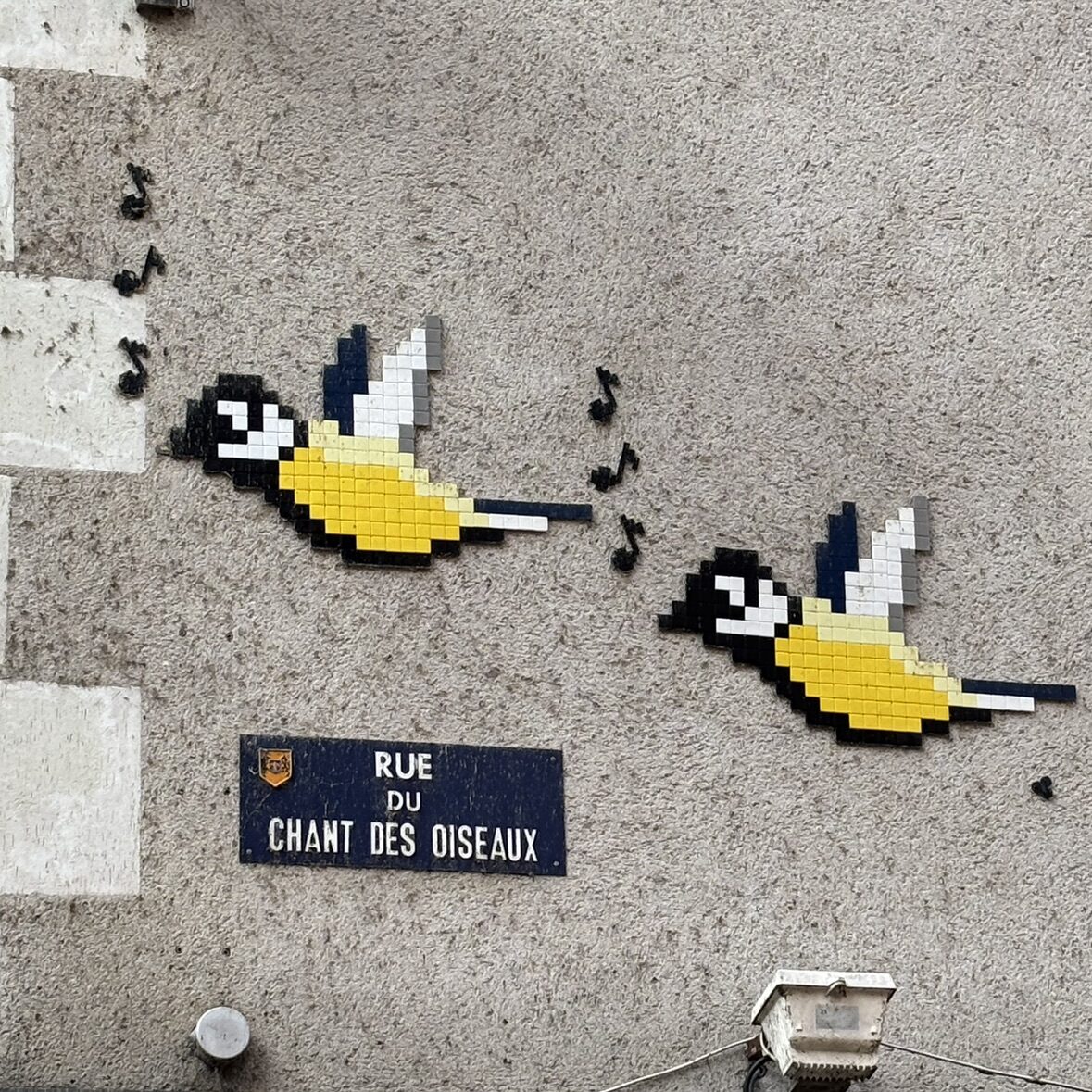 Songbirds on Rue du Chant des Oiseaux — Street art by Mifamosa in Blois