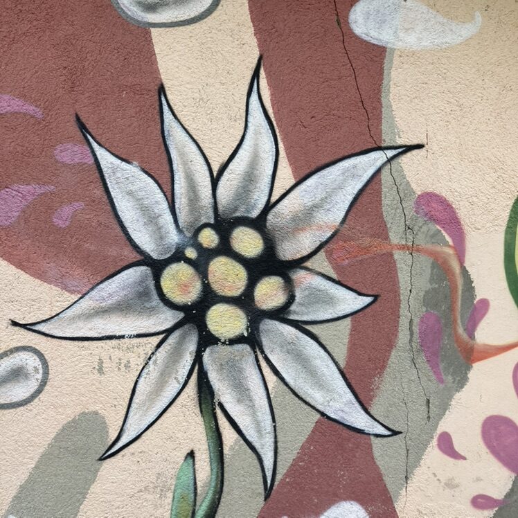 Edelweiss et visage vert — Street art à La Chaux-de-Fonds