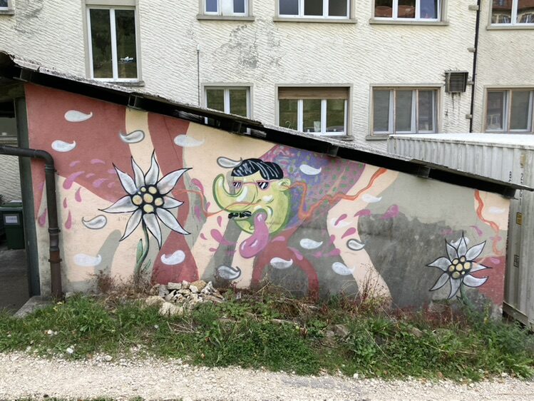Edelweiss et visage vert — Street art à La Chaux-de-Fonds