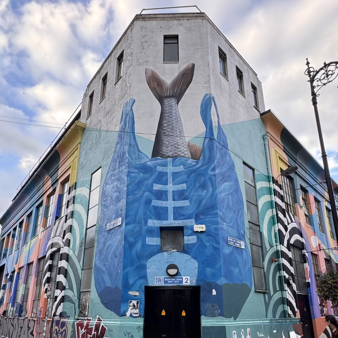 Climate III, le poisson dans le sac plastique — Street art de SUBSET à Dublin