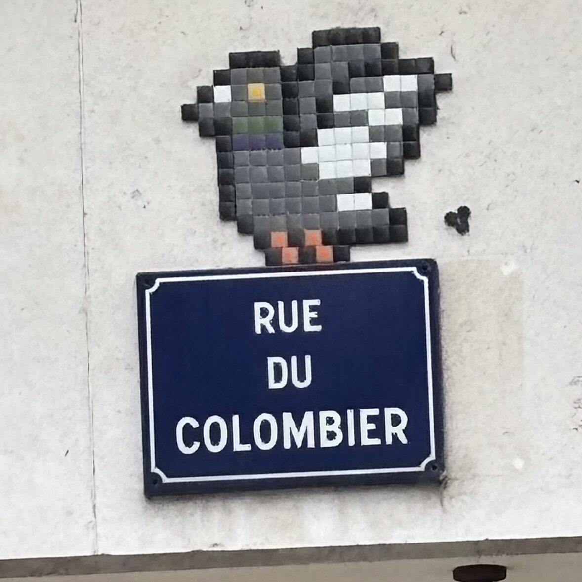 The Pigeon of Rue du Colombier — Street art by Mifamosa in Orléans