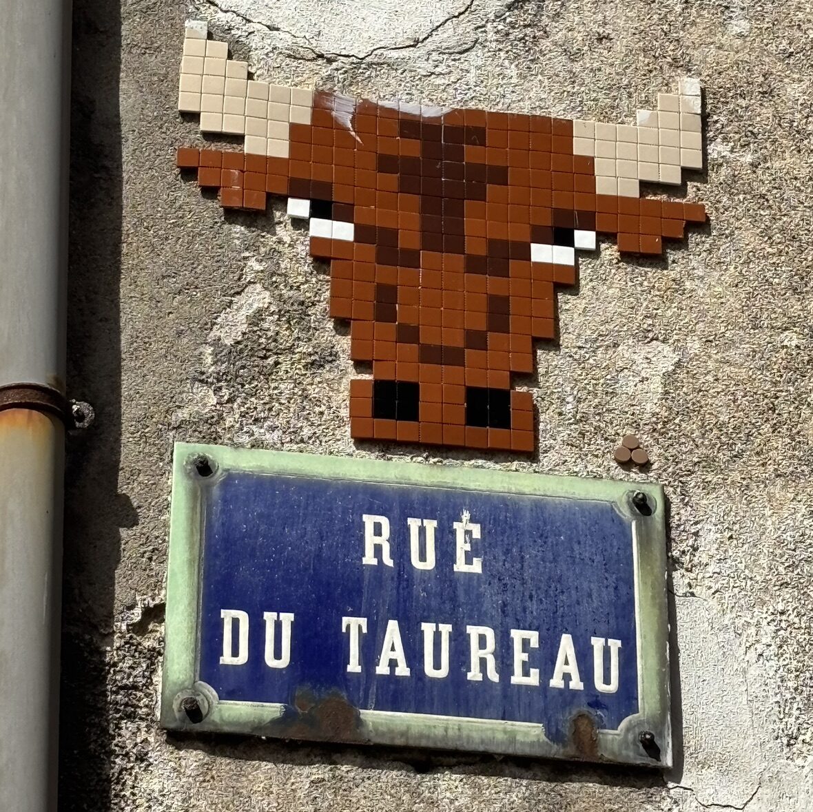 Bull's Head on Rue du Taureau — Street art by Mifamosa in Orléans